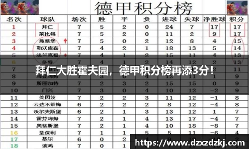 新利体育官网